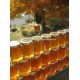 Best Quality Raw Honey